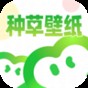 種草壁紙app官方版
