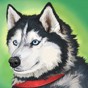 美國zoom動物仙蹤林最新版